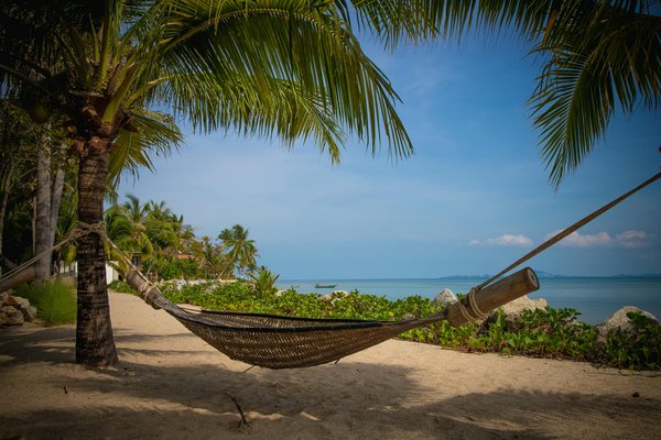 Discover Birmingham's Hidden Gems: Your Ultimate Guide to Artisanal Craft Markets